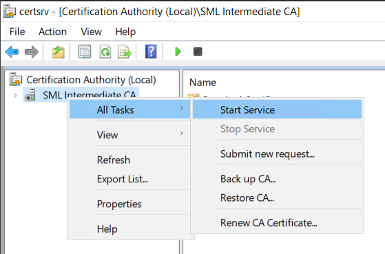 Lab - Certificate Authority Setup